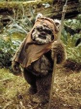 Wicket W. Warrick cartoon
